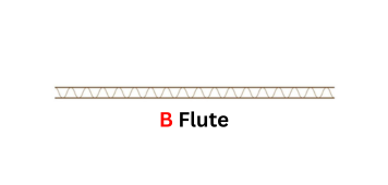 Cartons moving on a packing line
