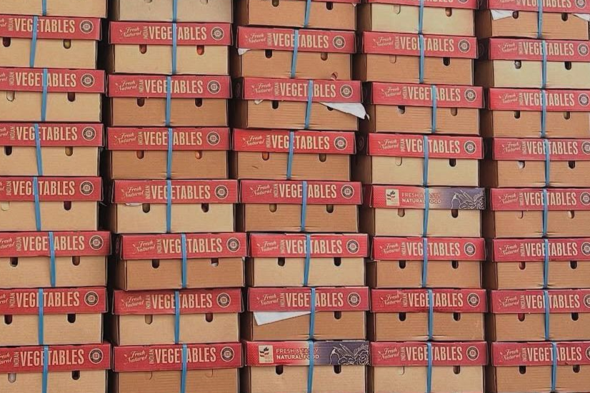 Die-cut packaging and inserts